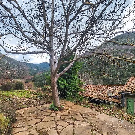Tatil Evi Cozy In With Wifi
