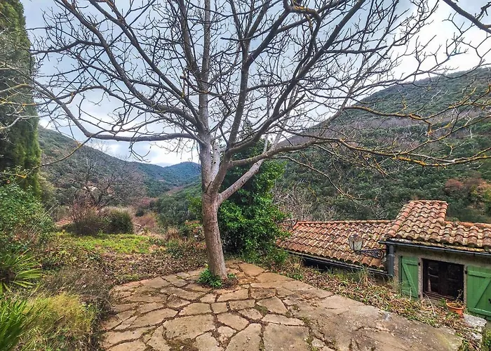 Ferienhaus Cozy In With Kitchen